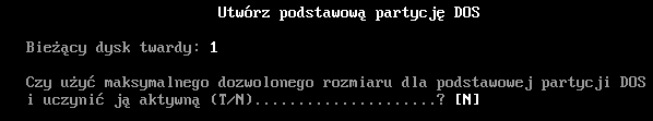 Partycjonowanie dysków - okno13